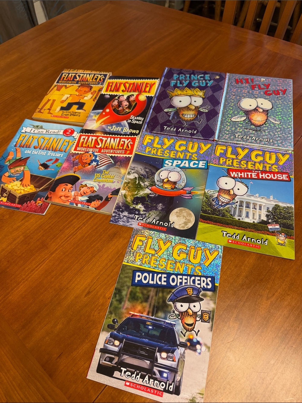 Young readers bundle 9 books: Fly Guy & Flat Stanley